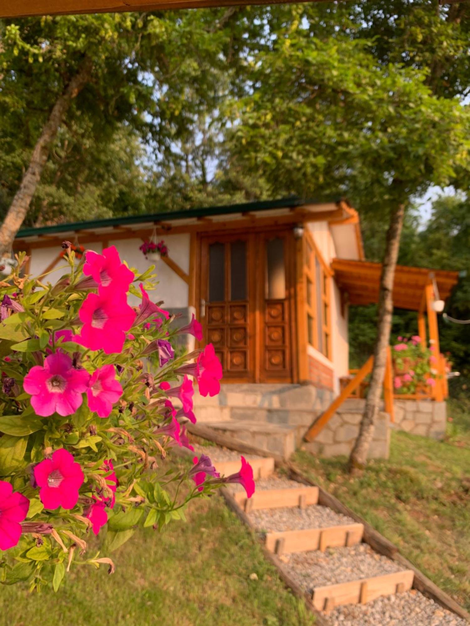 Sunset House Leilighet Ohrid Eksteriør bilde